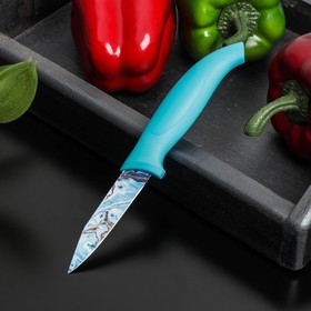 Нож кухонный с антиналипающим покрытием Доляна «Эпоксид», овощной, лезвие 8 см