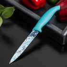 Нож кухонный с антиналипающим покрытием Доляна «Эпоксид», универсальный, лезвие 12,5 см - фото 321314678