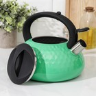 Чайник со свистком из нержавеющей стали Magistro, Glow, 3 л, индукция, ручка soft-touch, цвет зелёный - Фото 2