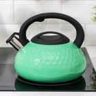 Чайник со свистком из нержавеющей стали Magistro, Glow, 3 л, индукция, ручка soft-touch, цвет зелёный - Фото 4