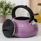 Чайник со свистком из нержавеющей стали Magistro Glow, 3 л, индукция, ручка soft-touch, цвет фиолетовый - Фото 2