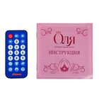 Кукла интерактивная шарнирная «Оля» в платье, с пультом, уценка - Фото 7