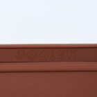 Форма силиконовая для выпечки Доляна «Бисквиты», 5 ячеек, 22,3×10,5×2 см, цвет МИКС - фото 4629709
