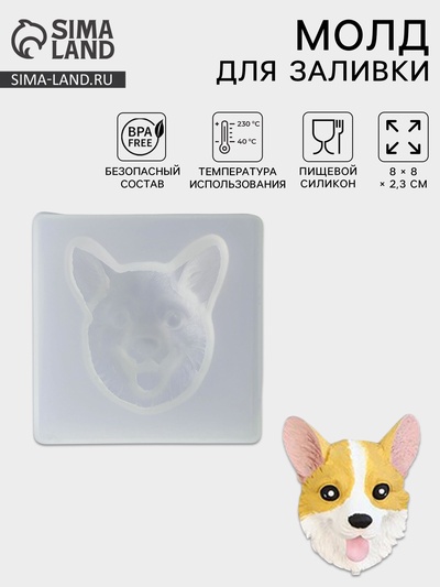 Молд для заливки «Мордашка», силикон, 8×2.3 см, прозрачный