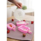Форма для мороженого Доляна «Ананас», силикон, 14×7,5×2,5 см, цвет розовый - фото 4342436