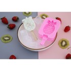 Форма для мороженого Доляна «Ананас», силикон, 14×7,5×2,5 см, цвет розовый - фото 4342439