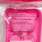 Форма для мороженого Доляна «Мишутка», силикон, 14×8×2,5 см, цвет розовый - фото 4342445