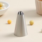 Насадка кондитерская «Закрытая звезда», d=3 см, выход 0,3 см, нержавеющая сталь (комплект 20 шт) - фото 40659174