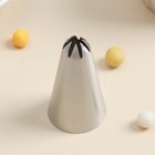 Насадка кондитерская «Закрытая звезда», d=3 см, выход 0,3 см, нержавеющая сталь (комплект 20 шт) - фото 40659175