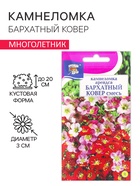 Семена цветов Камнеломка "Бархатный ковер", 0,01 г - Фото 1