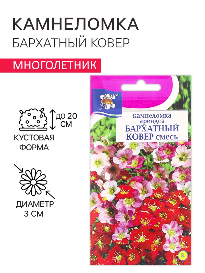 Семена цветов Камнеломка "Бархатный ковер", 0,01 г - Фото 1