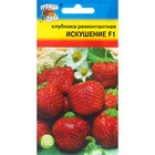 Семена Клубника ремонтантная "Искушение", F1, 5 шт. - Фото 1