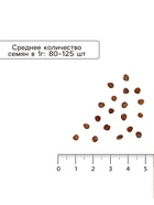 Семена Редис "Дениска-редиска", 2 г - фото 809633694