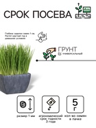 Семена Трава для кошек «Лиза-Подлиза», 5 г, «УРОЖАЙ УДАЧИ» - Фото 2