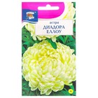 Семена цветов Астра "Диадора Еллоу", пионовидная, 0,2 г - Фото 1