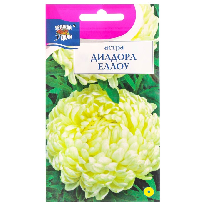 Семена цветов Астра "Диадора Еллоу", пионовидная, 0,2 г - Фото 1