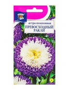 Семена цветов Астра помпонная "Превосходный Ракли", 0,2 г - Фото 1