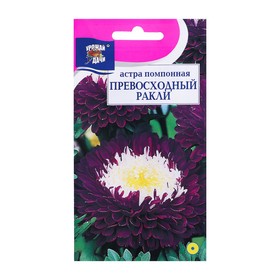 Семена цветов Астра помпонная "Превосходный Ракли", 0,2 г