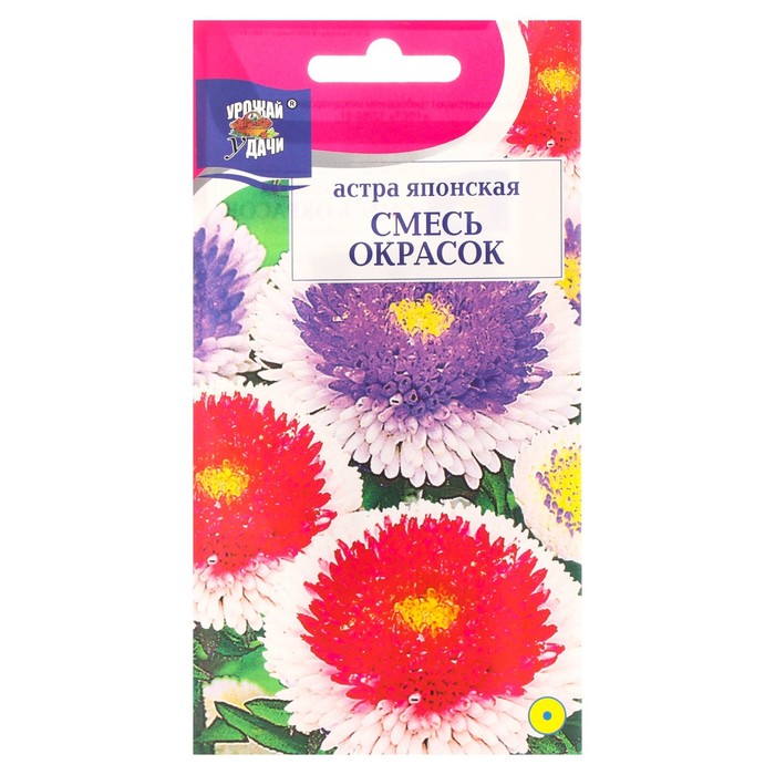 Семена цветов Астра "Японская", 0,1 г - Фото 1