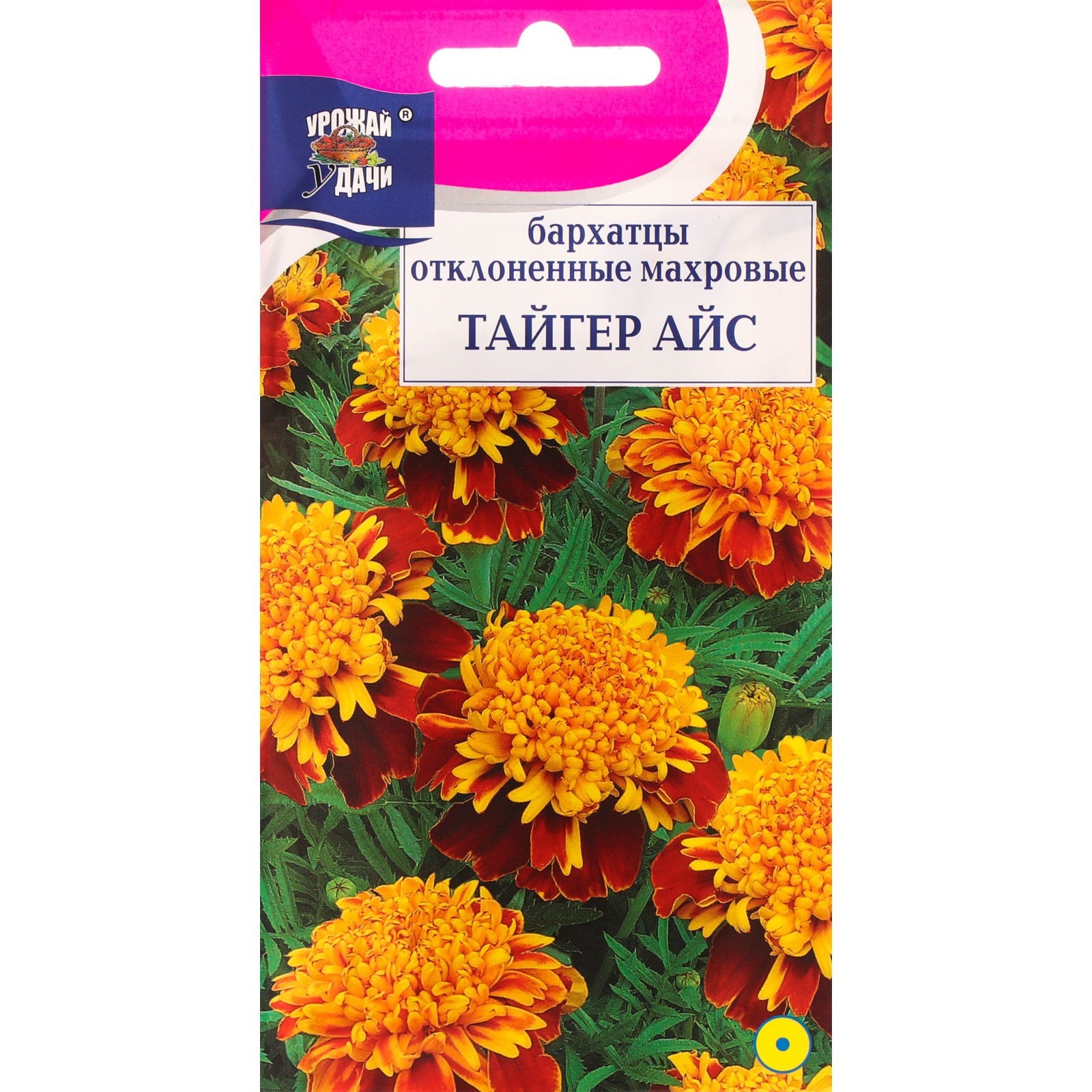 Бархатцы Синие Купить Семена