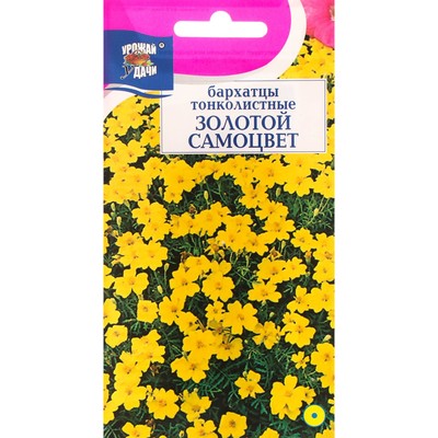 Семена цветов Бархатцы тонколистные "Золотой Самоцвет", 0,1 г