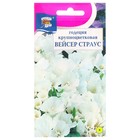 Семена цветов Годеция крупноцветковая "Вейсер Страус", 0,1 г - Фото 1