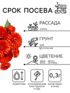 Семена цветов Календула махровая «Красный ковёр», 0.3 г, «Урожай удачи» - Фото 2
