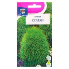 Семена цветов Кохия "Султан", 0,2 г - Фото 1