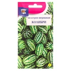 Семена Мелотрия шершавая «Колибри», 0.015 г, «Урожай удачи» - Фото 5