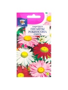 Семена цветов Пиретрум "Гиганты Робинсона", Смесь, 0,1 г - Фото 5