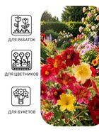 Семена цветов Сальпиглоссис «Смесь», 0.1 г, «УРОЖАЙ УДАЧИ» - Фото 3