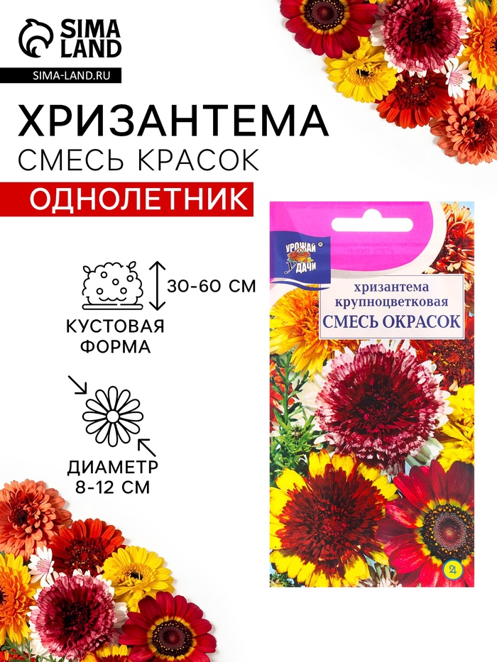 Семена Цветов Хризантема многолетняя «Смесь окрасок», крупноцветковая, 0.02 г, «Урожай удачи» - Фото 1