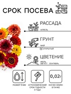 Семена Цветов Хризантема многолетняя «Смесь окрасок», крупноцветковая, 0.02 г, «Урожай удачи» - Фото 2