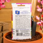 Семена цветов Хризантема многолетняя "Смесь окрасок", крупноцветковая, 0,02 г - фото 9440544
