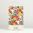 Пакет подарочный "Пёстрость", крафт, 40.5 x 24.8 x 9 см (комплект 12 шт) - фото 46049892