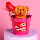 Мягкая игрушка «Ты моё счастье», медведь, цвета МИКС - Фото 3