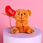 Мягкая игрушка «Ты моё счастье», медведь, цвета МИКС - Фото 4