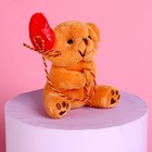 Мягкая игрушка «Ты моё счастье», медведь, цвета МИКС - Фото 5