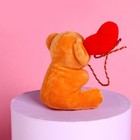 Мягкая игрушка «Ты моё счастье», медведь, цвета МИКС - Фото 6