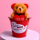 Мягкая игрушка «Самой прекрасной», медведь, цвета МИКС - фото 6525766