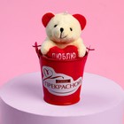 Мягкая игрушка «Самой прекрасной», медведь, цвета МИКС - фото 6525775