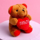 Мягкая игрушка «Самой прекрасной», медведь, цвета МИКС - фото 6525769