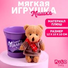Мягкая игрушка «Самой милой», медведь, цвета МИКС - фото 9531211