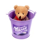 Мягкая игрушка «Самой милой», медведь, цвета МИКС - фото 3746277