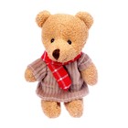 Мягкая игрушка «Самой милой», медведь, цвета МИКС - фото 8945900