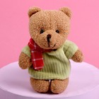 Мягкая игрушка «Счастье - это ты», медведь, цвета МИКС - Фото 4