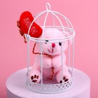 Мягкая игрушка «Мишка в клетке», медведь, цвета МИКС - фото 6525845