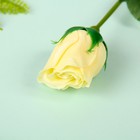 Мыльные лепестки "Роза" h=42 см, чайная - Фото 2