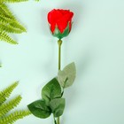 Мыльные лепестки "Роза" h=42 см, красный - Фото 1