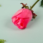 Мыльные лепестки "Роза" h=42 см, двойной цвет розовый - Фото 2